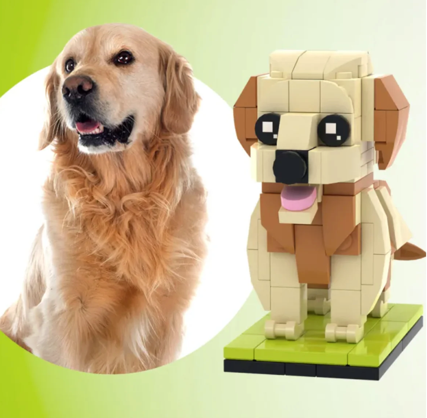 Brick-you - Pet