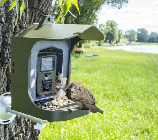 Smart Bird´s house